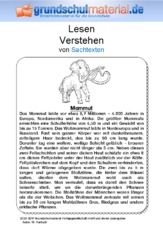 Mammut.pdf